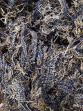 Wool Selvedge: 10lb Brown Blue & Cream #0039