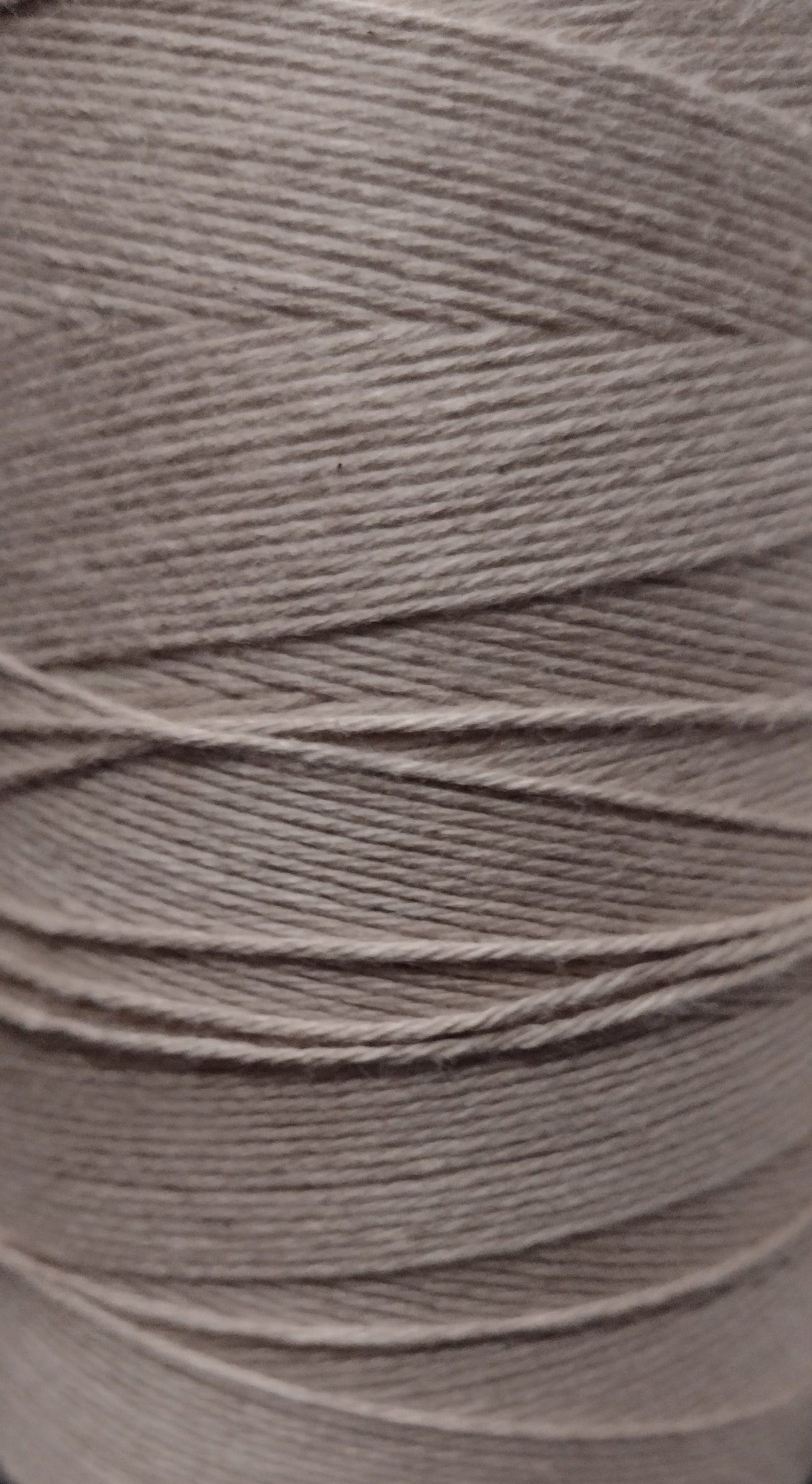 8/2 Cotton Weaving Yarn by Maurice Brassard, 60+ colors