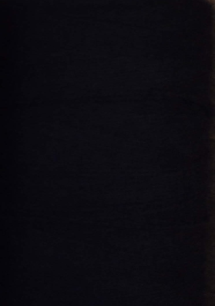 Blue Mountain Wool, 100% Worsted Wool, 8/2 Wool